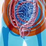 Whats App Image 2026 02 11 at 12.03.24 Am (1)