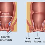 Whats App Image 2026 02 11 at 12.03.24 Am